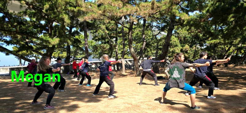 Australian student training at a kung fu school in Japan, Osaka
