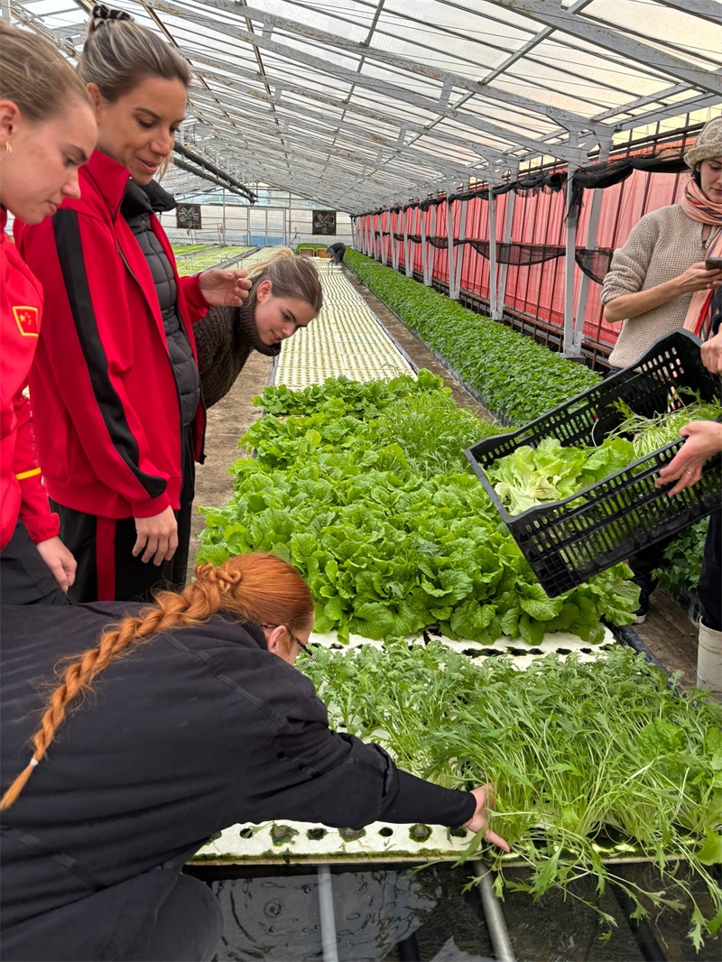 International students experiencing Japanese agricultural cultural exchange at a local farm near Japan Osaka Kung Fu School