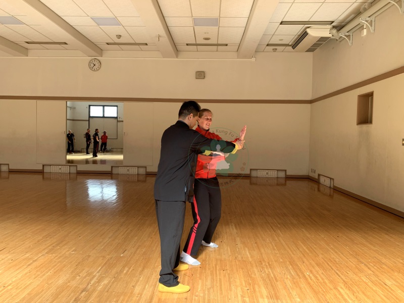 japan osaka kung fu school