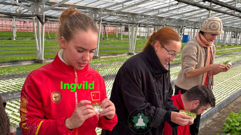 Ingrild Wohik ( Denmark)