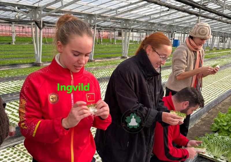  Japan osaka kung fu school reviews